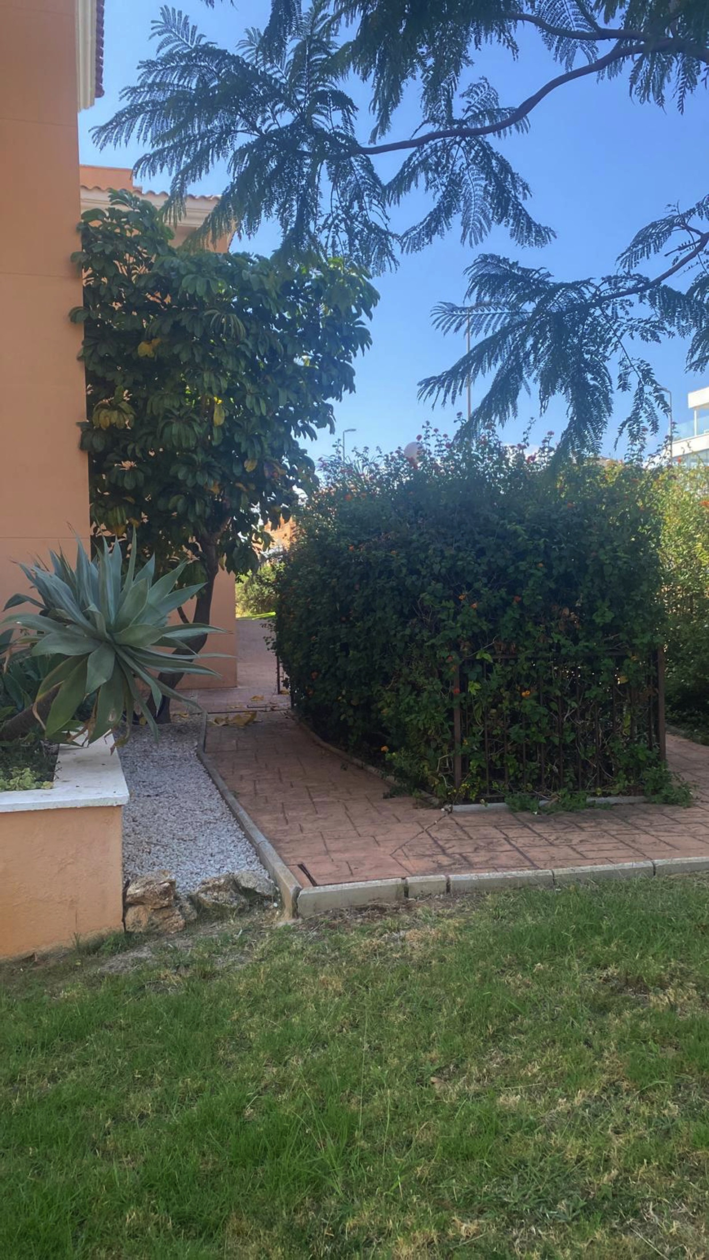 B98Le8d7M9k3DegpEFZhS0lI_F8U4XZVzHWxtmGgYekxX9nCAxh0ZipZlAjNxEM6s1urIyRoGIHKYHwCpioIyDsUUd8Lhh82JH1Kx6ATq3mdT10GhCaQgtSlP7NUgnjgcH_DrlvdPvQeXoBN