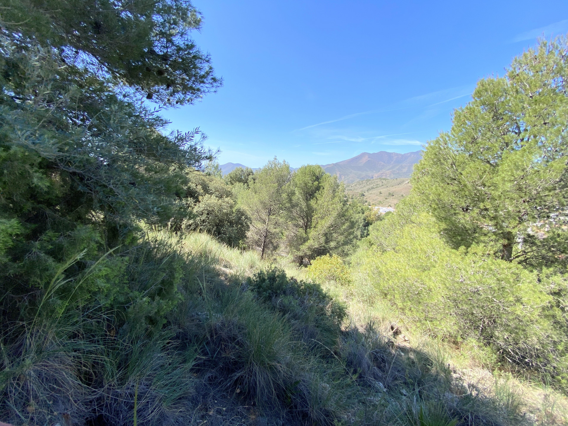 B98Le8d7M9k3DegpEFZhS0lI_F8U4XZVzHWxtmGgYekxX9nCAxh0ZipZlAjNxEM6s1urIyRp1RL0Au1Gyic_mwl1NNcPCFs6ccixDh5RldWD1CvePdOdlo9frWvQHQY20Jx0NoQDKT5YSsAb